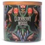 Elderberry Woods