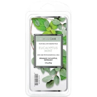 Colonial Candle Classic wosk zapachowy sojowy 2.75 oz 77 g - Eucalyptus Mint