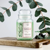 Sojowa świeca zapachowa Eucalyptus Lemongrass Purple River 623 g
