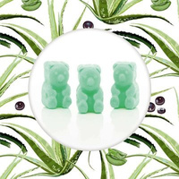 Wax melts soy scented teddy bears Relaxing - Acai Palm Aloe Ted Friends