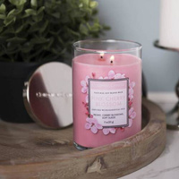 Soy scented candle with essential oils Pink Cherry Blossom Colonial Candle