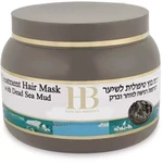 Therapeutic hair mask with mud